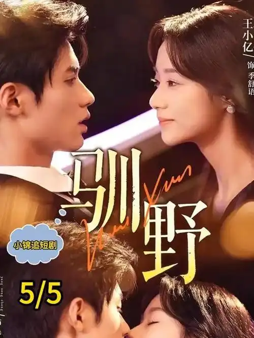 我家猫咪会开会